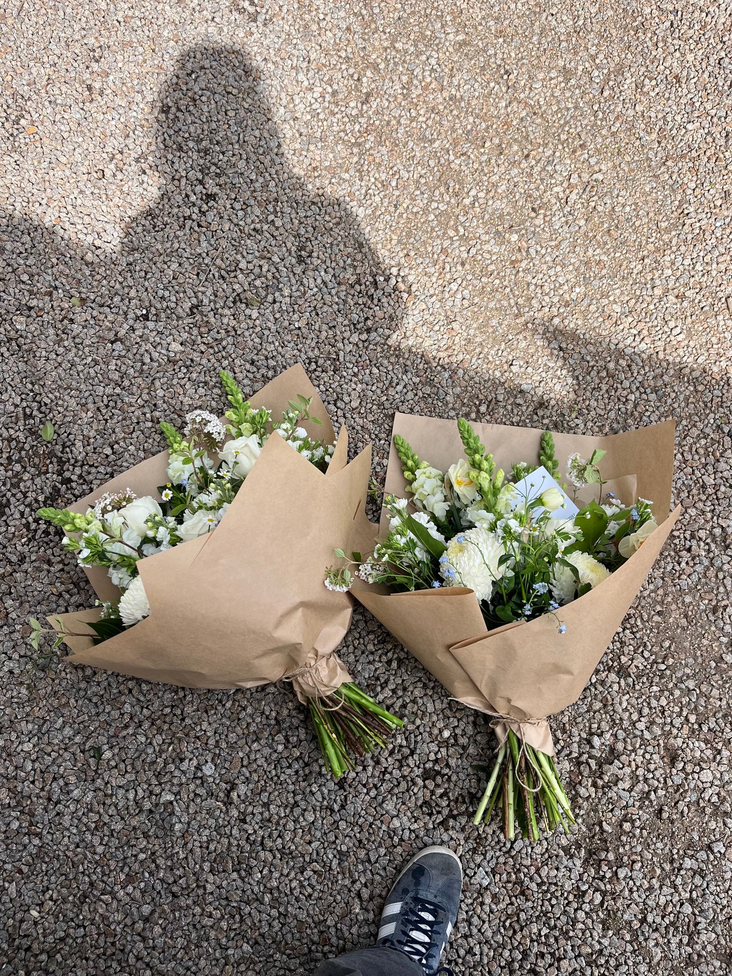 Daily Flowers
